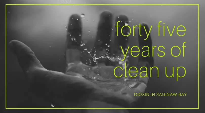 Dioxin Clean Up in Saginaw Bay Watershed