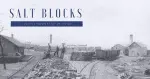 Salt Block Title Image