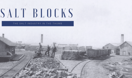 Salt Block Title Image