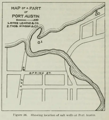 Salt Wells in Port Austin