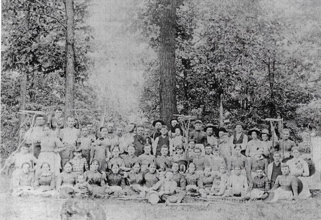 Colony Members in Harmony