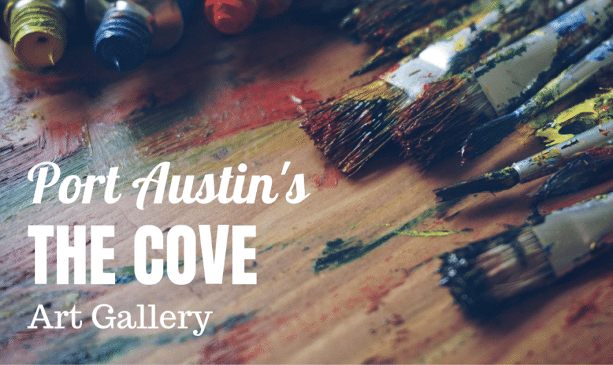 A Unique Port Austin Art Gallery – Created By Local Artists – The Cove