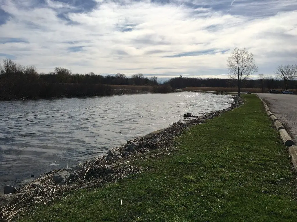 Mud Creek - Saginaw Bay Rescue