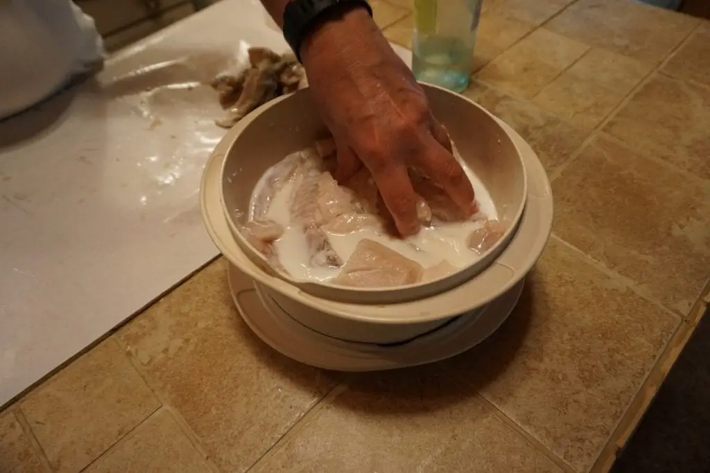 Place All Chunks into a Milk Soak