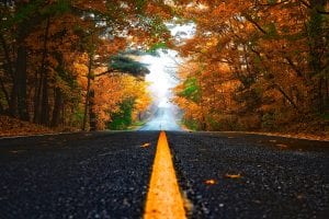 Autumn Color Along a Road