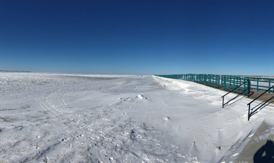 El Niño Forecast Favors Warmer, Drier Winter Across Michigan