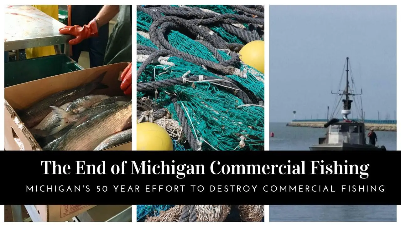 The Planned Demise of the Michigan Commercial Fishing Industry