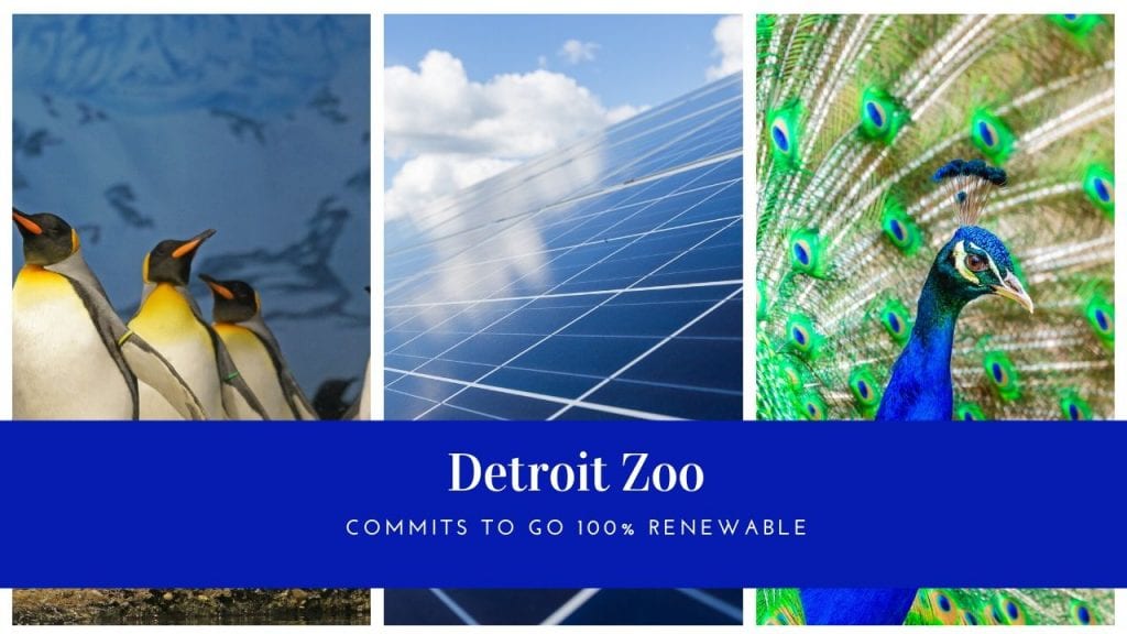 Detroit Zoo To Get 100 Michigan Renewable Energy