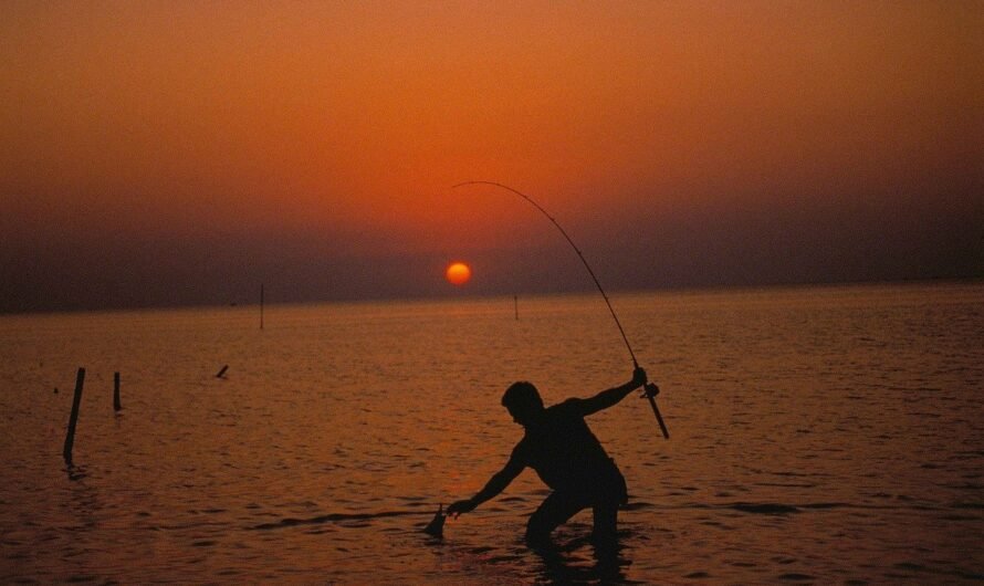 Saginaw Bay Fishing Has Dropped Despite A Lot of Walleye