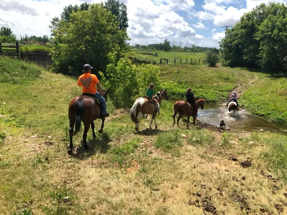 Knoblock Riding Stable