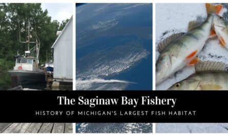 Saginaw Bay Fishery