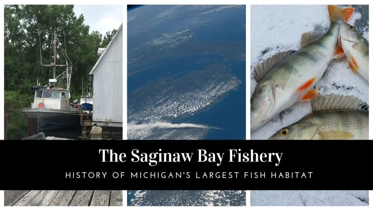 A Short History of The Saginaw Bay Fishery