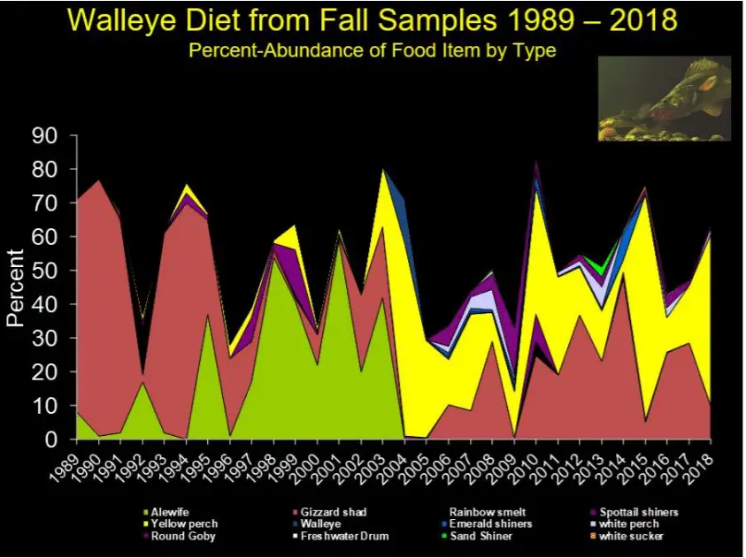 Michigan Fishing Walleye Diet