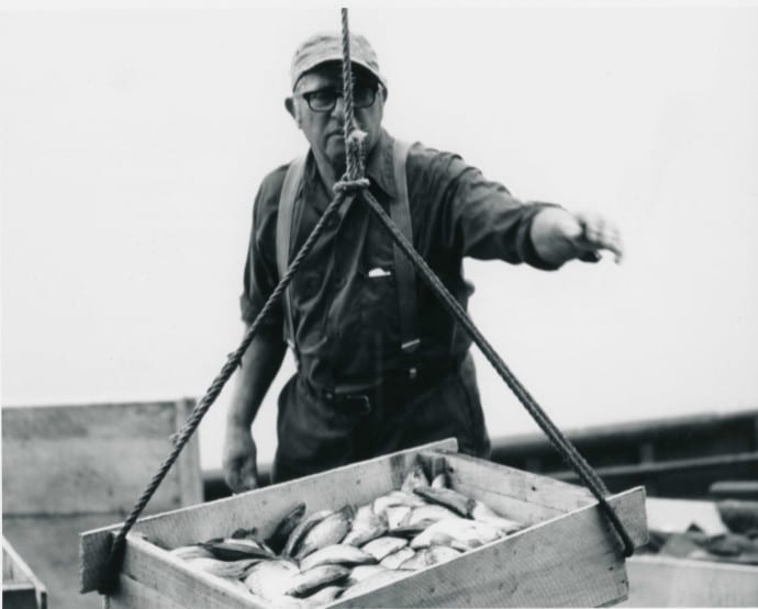 Fisherman unloading a box of fish 1976 in Bay Port