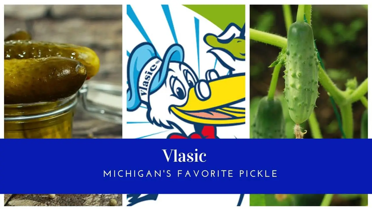 Vlasic Pickle is Michigan’s Favorite Pickle