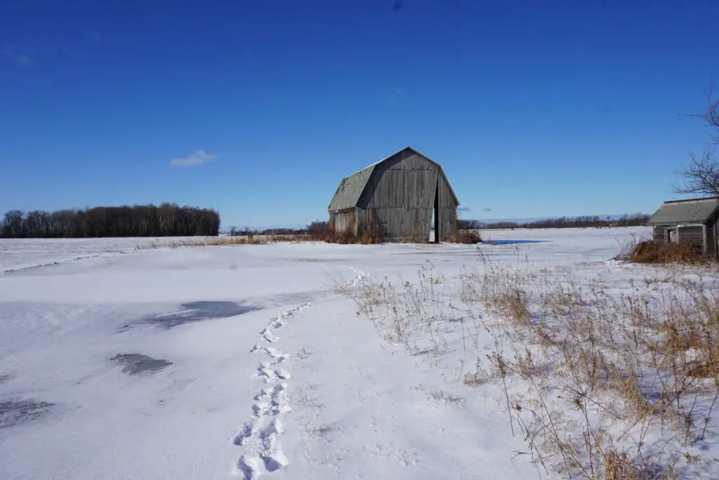 Michigan Barn Art