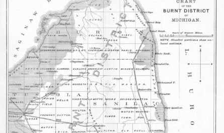 Chart of the Burnt District - From the Report on the Michigan Forest Fires of 1881 - William O. Bailey