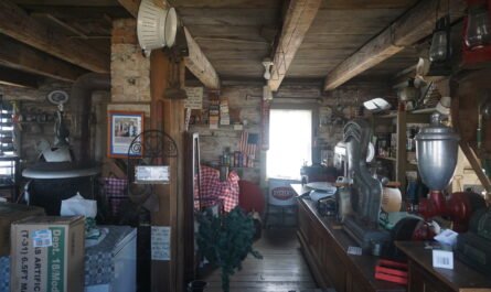 Michigan Pioneer Log Cabins