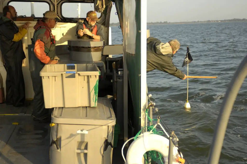 Saginaw Bay Fish Survey 2019 Michigan DNR