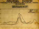 Spanish Flu Mortality