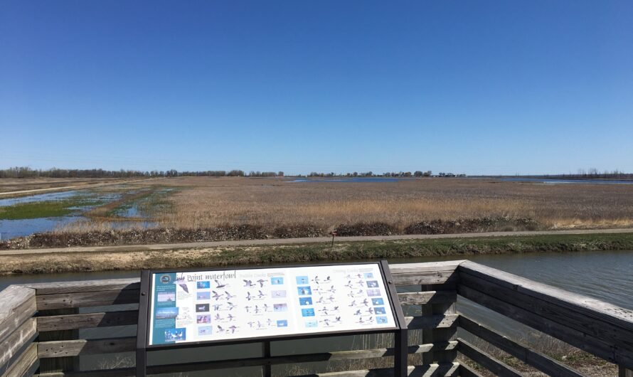 The Big Views of Fish Point Wildlife Area