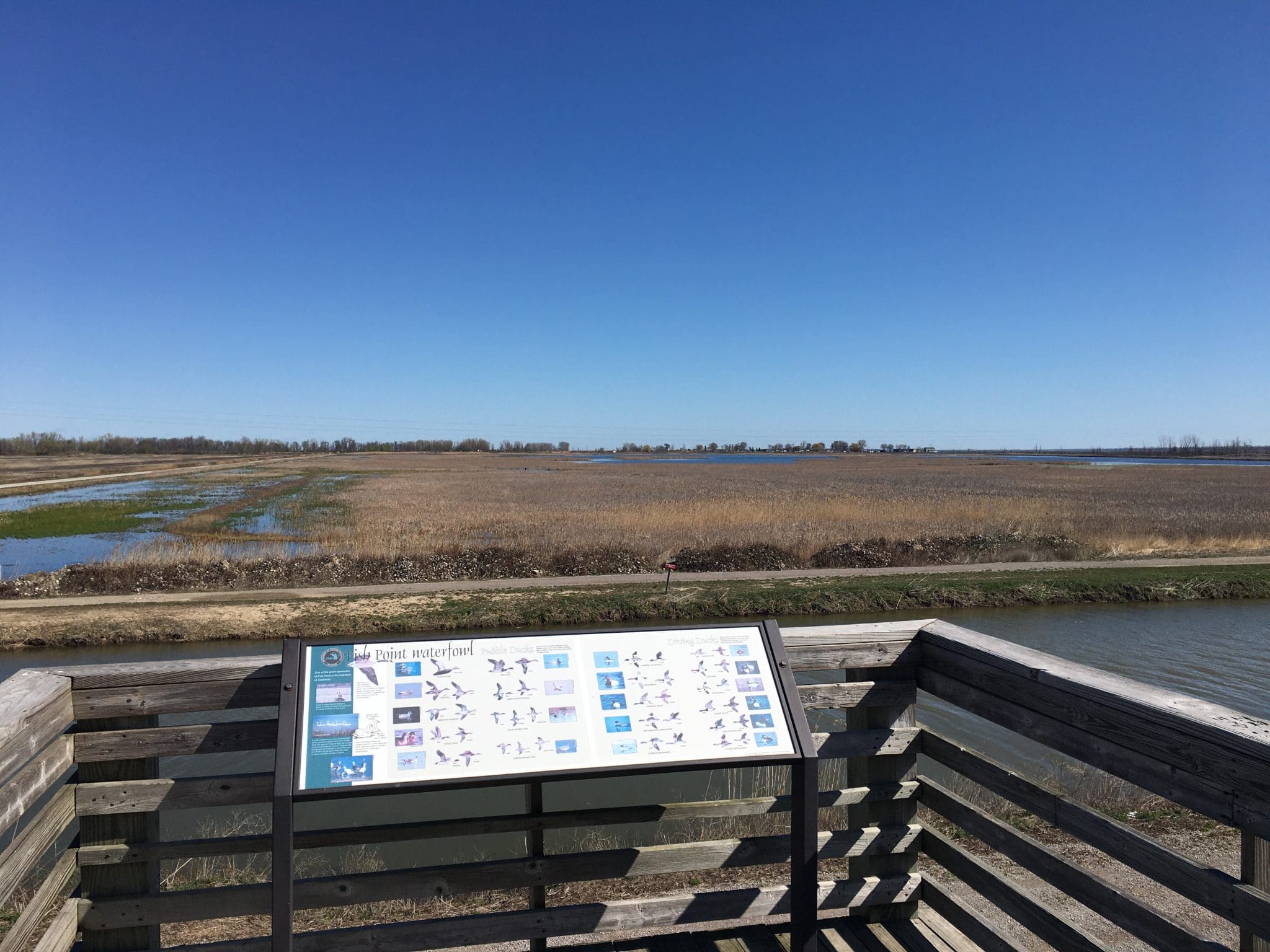 The Big Views of Fish Point Wildlife Area