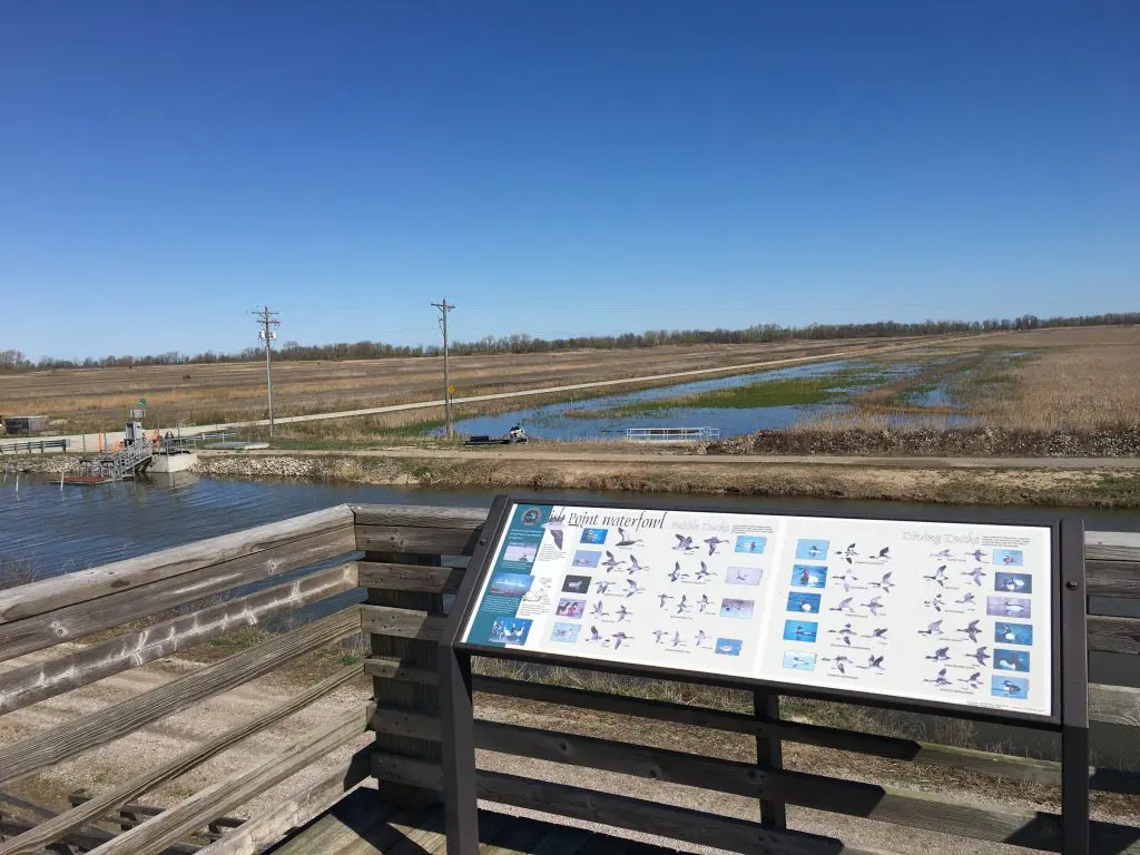 Fish Point Observation Tower Looking Northwest