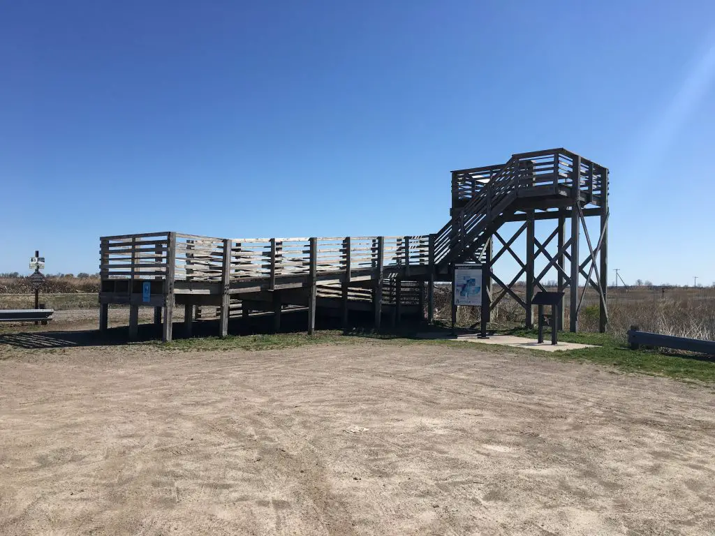Fish Point Wildlife Observation Tower