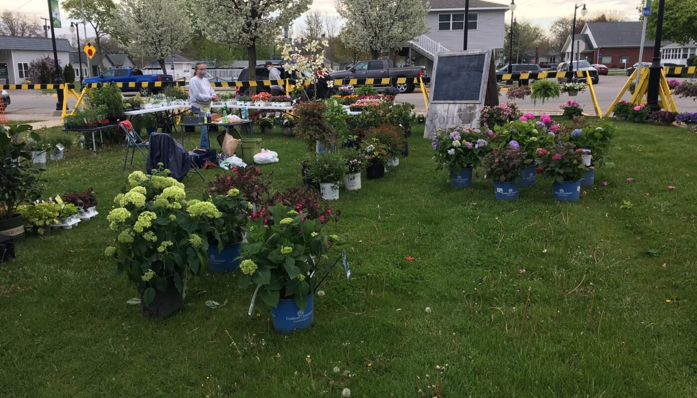 Port Austin Farmers Market Flowers