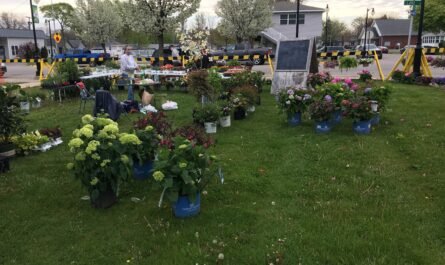 Port Austin Farmers Market Flowers