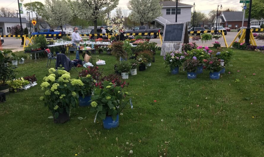 Big Crowds Explore Port Austin Farmers Market