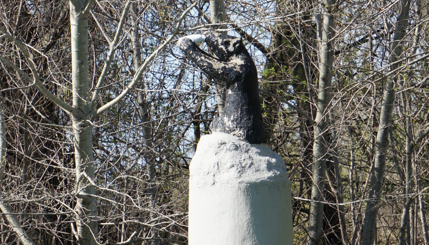 Jenny The Beer Drinking Bear