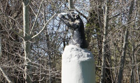 Jenny The Beer Drinking Bear