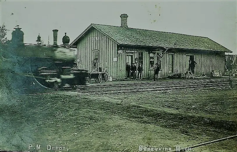 Sebewaing depot train