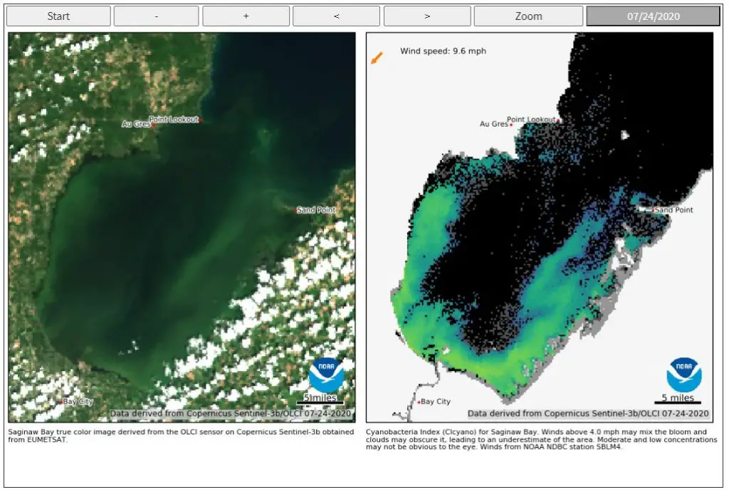 New Systems Monitor Great Lakes Algae Blooms Including Michigan's