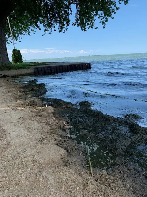 Lake Muck on Shore
