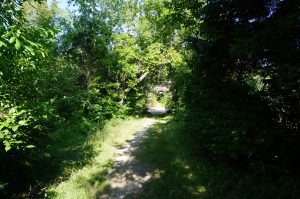 Trail to Old Iron Bridge at Port Crescent State Park