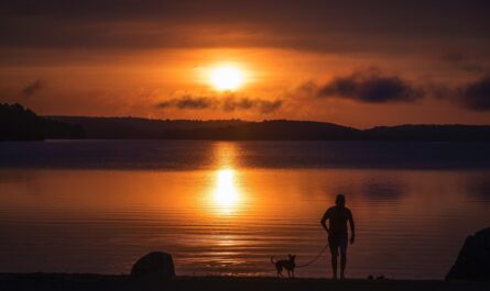 Dog at Lake at Sunset