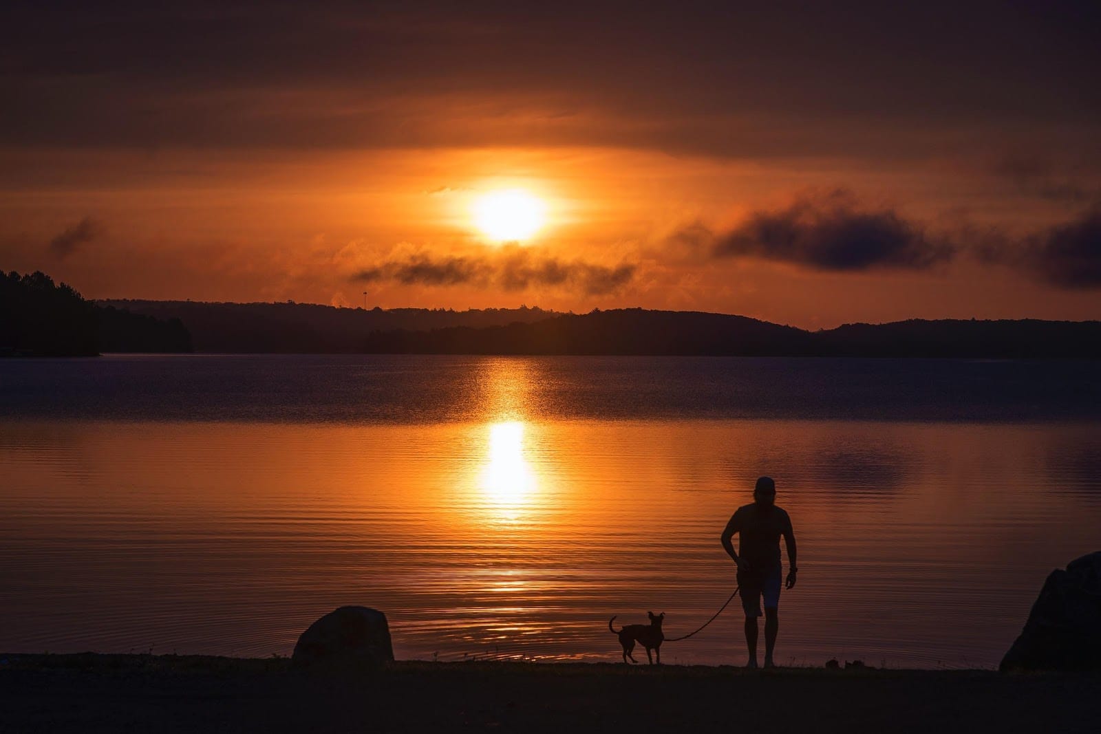 Dog at Lake at Sunset