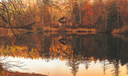 Cottage in Autumn