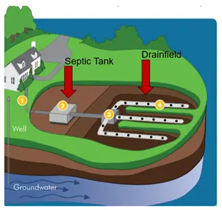 Septic Drain Field