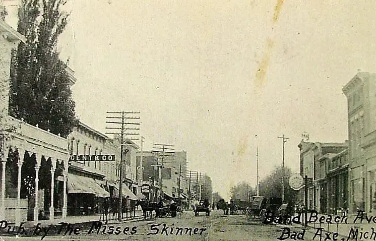 1909 Bad Axe Postcard Looking Down Sand Road