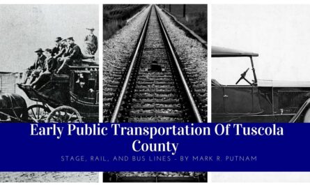 Public Transportation in Tuscola County
