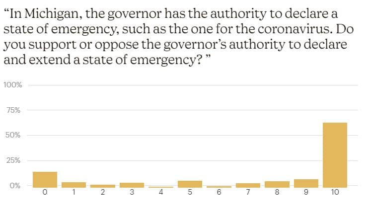 Michigan's Governor Gretchen Whitmer's Handling Of The Covid Emergency - Covid Impact Survey
