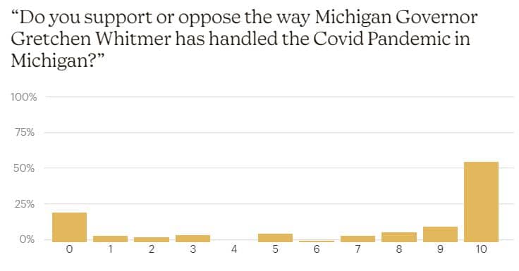 Governor Whitmer's Handling Of The Covid Pandemic - Covid Impact Survey
