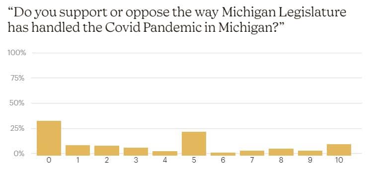 Governor Whitmer's Handling Of The Covid Pandemic - Covide Impact Survey