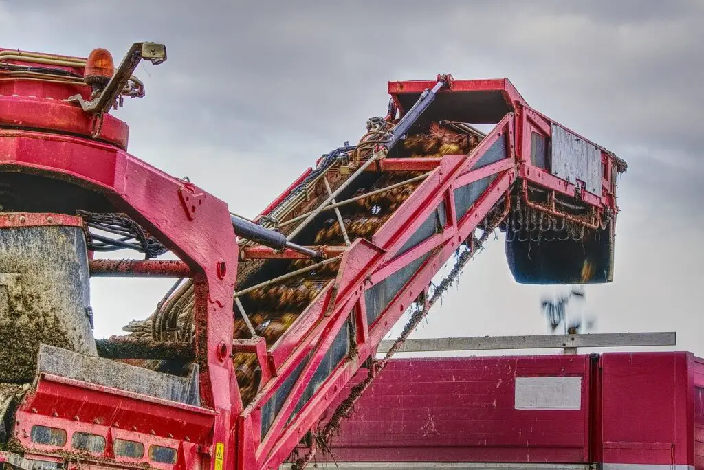 Sugar Beet Harvest