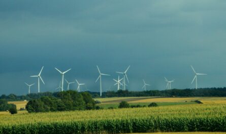 Wind Turbines in Field