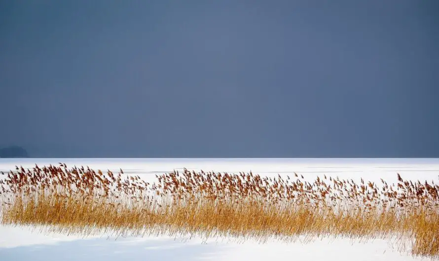 Get Five decades of Great Lakes ice cover data