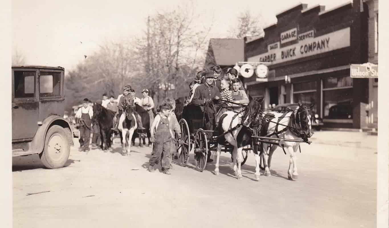 Bad Axe Michigan - Pony Rides